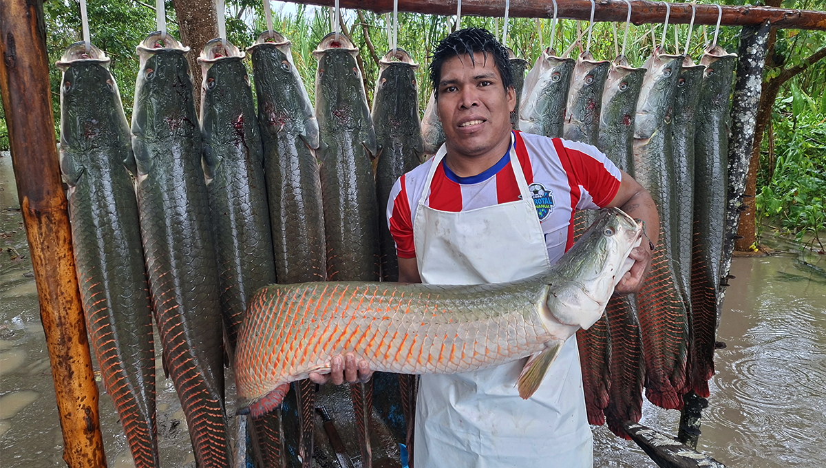 Acuicultores venden más de 200 kilos de paiche a empresa Sodexo